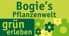 Bogie’s Pflanzenwelt Filialen und Öffnungszeiten