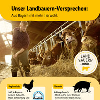 REWE Prospekt Seite 2