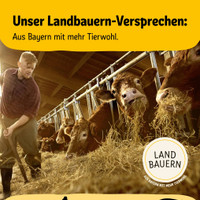 REWE Prospekt Seite 2