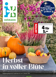 Blumen Ostmann Prospekt - Herbst in voller Blüte