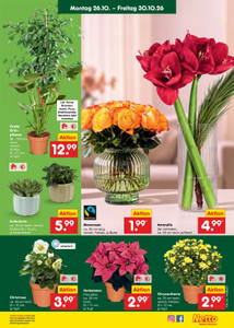 Netto Marken-Discount Prospekt - Angebote ab 26.10.