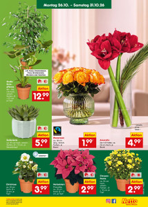 Netto Marken-Discount Prospekt - Angebote ab 26.10.
