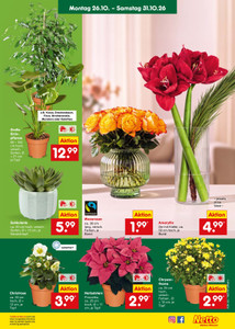 Netto Marken-Discount Prospekt - Angebote ab 26.10.