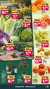 NETTO Prospekt - Angebote ab 19.10.