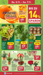 ALDI Nord Prospekt - Angebote ab 02.11.