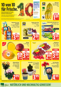 Marktkauf Prospekt - Angebote ab 26.10.