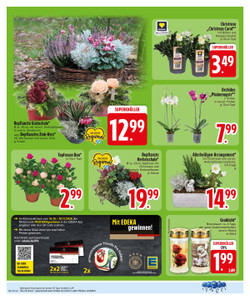 EDEKA Prospekt - Angebote ab 19.10.