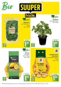 EDEKA Prospekt - Angebote ab 26.10.