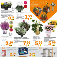 Globus Baumarkt Prospekt - Blumen