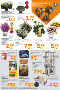 Globus Baumarkt Prospekt - Angebote ab 19.10.