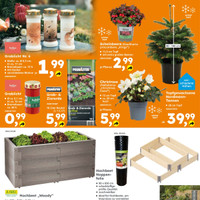 Globus Baumarkt Prospekt Seite 2