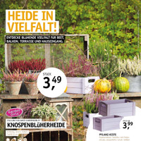 Gartencenter Späth Prospekt Seite 2