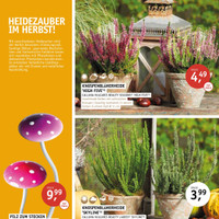 Gartencenter Späth Prospekt Seite 3