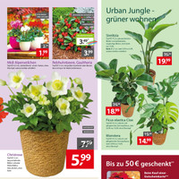 Gartencenter Augsburg Prospekt Seite 3