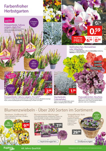 Gartencenter Augsburg Prospekt - Angebote ab 17.10.