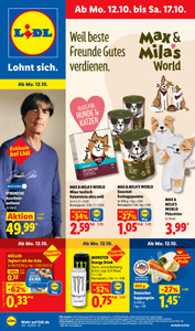 Lidl Prospekt - 038/N SIE LIDL
