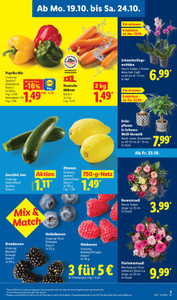 Lidl Prospekt - Angebote ab 19.10.