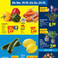 Lidl Prospekt Seite 3