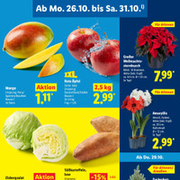 Lidl Prospekt Seite 3