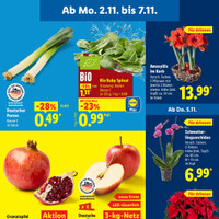 Lidl Prospekt Seite 3