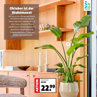 Blumen-Hoeren Prospekt Seite 2