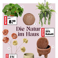 Blumen-Hoeren Prospekt Seite 3