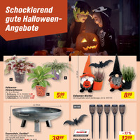 toom Baumarkt Prospekt Seite 2
