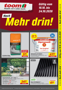 toom Baumarkt Prospekt - Angebote ab 19.10.