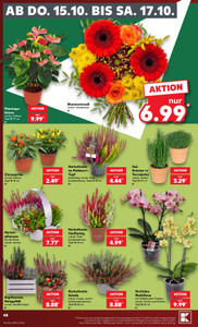 Kaufland Prospekt - Angebote ab 12.10.