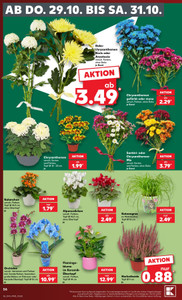 Kaufland Prospekt - Angebote ab 26.10.