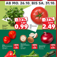Kaufland Prospekt Seite 31