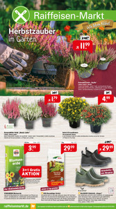 Raiffeisen-Markt Prospekt - Herbstzauber