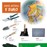 Raiffeisenagrar Prospekt Seite 2