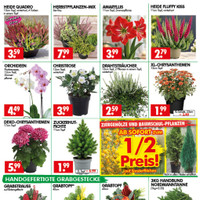 Wreesmann Prospekt Seite 3