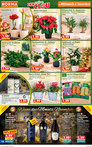 NORMA Prospekt - Angebote ab 02.11.