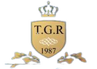 Teppichdoktor Richter Logo