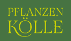 Pflanzen Kölle Logo