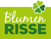 Blumen Risse Hagen (Stadt der FernUniversität)